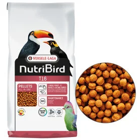 Полнорационный корм Versele-Laga NutriBird Т16 Original - для плодоядных и насекомоядных птиц: туканов, туракосов, фруктовых голубей, на основе отборных зерен и свежих фруктов