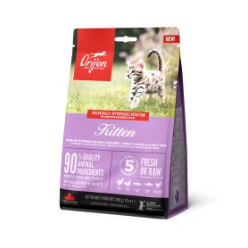 Orijen Kitten