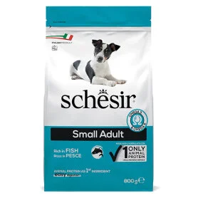 Schesir Dog Small Adult Fish