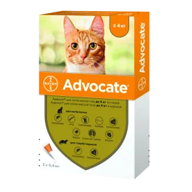 Advocate do 4