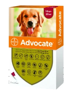 Advocate 10 - 25