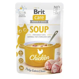 Brit Care Soup with Chicken 