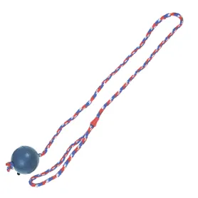 Іграшка Flamingo Ball With Rope для собак