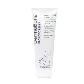 Шампунь ProbioDay DermaBona Bright White з пробіотиками - для білошерстних порід собак, котів та гризунів