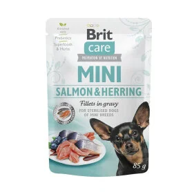 Brit Care Mini Salmon and Herring